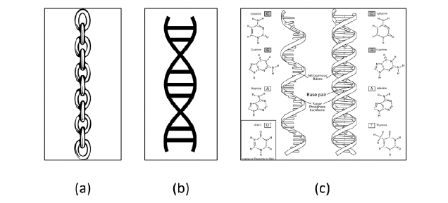 Figura-2